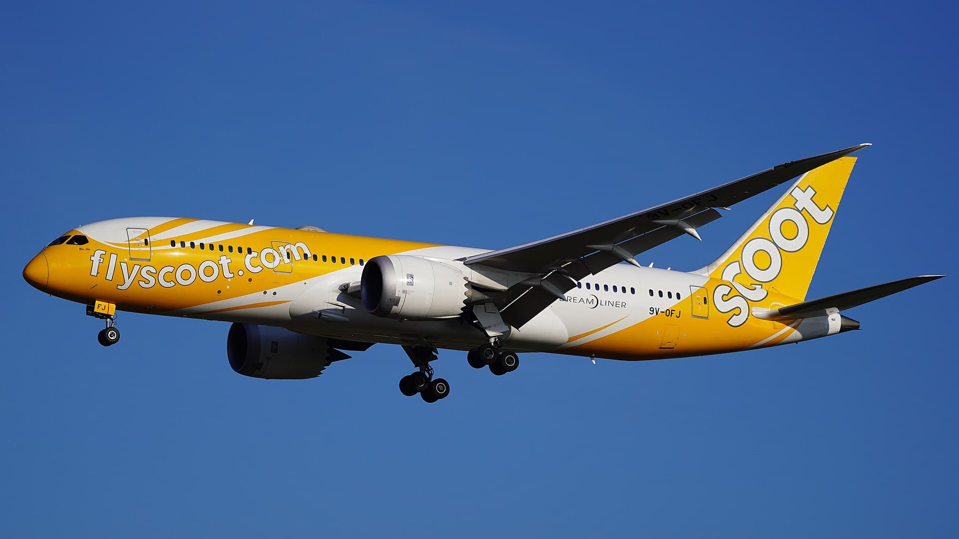 Scoot Flugentschaedigung: Vollstaendiger Leitfaden zu Ihren Passagierrechten nach EU261